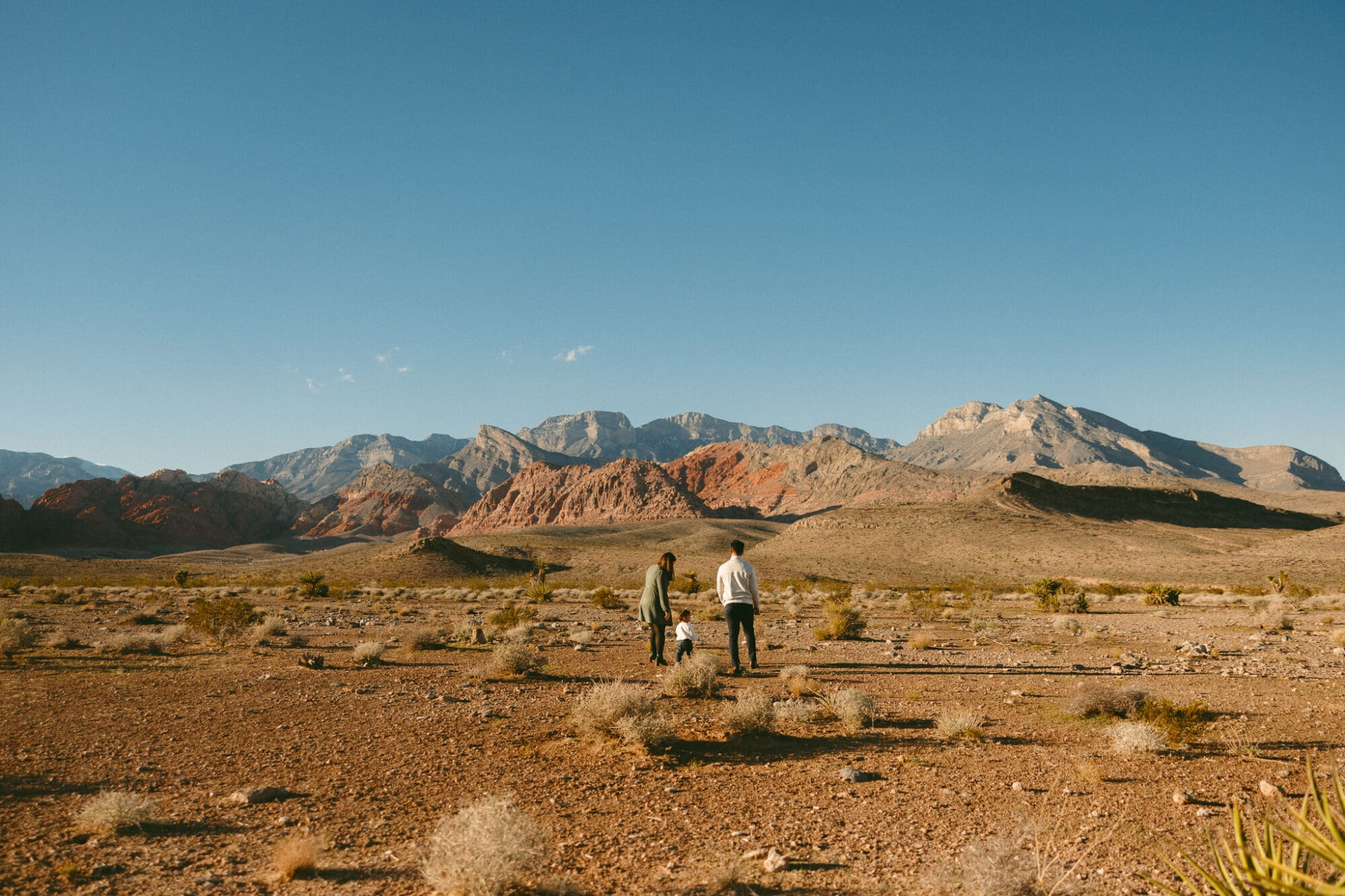 Family photography with consistent light and color.